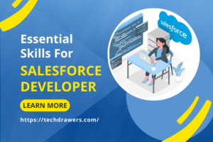 skills for salesforce developer